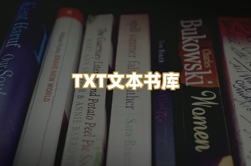 TXT文本书库
